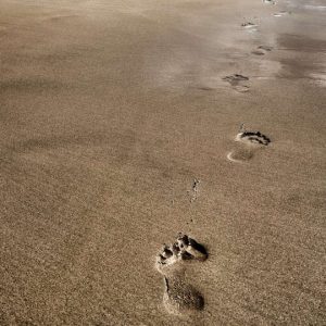 Image of Footprints on a beach