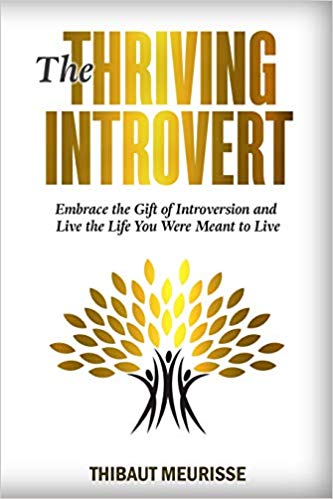 Cover image for The Thriving Introvert